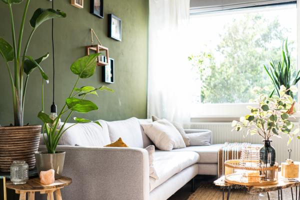 Cómo decorar con plantas cada espacio del hogar
